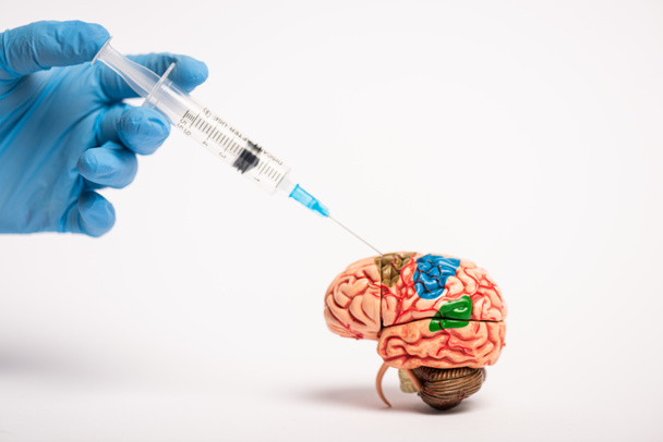 Cropped view of doctor holding syringe near brain model on white background, alzheimer disease concept  - Фото, изображение