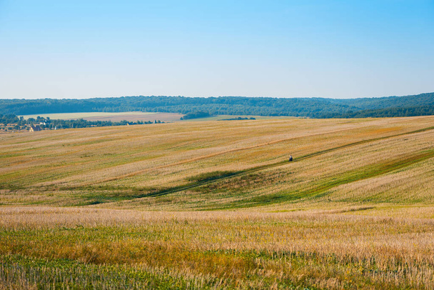 Small people in big world. motorcyclist rides through golden straw stubble field. Autumn landscape under blue sky. - Fotoğraf, Görsel