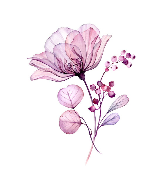 Акварельный букет Розы. Большой реалистичный фиолетовый цветок, маленькие ягоды, листья, ветви. Изолированное винтажное расположение в пастельно-сером, фиолетовом, фиолетовом для свадебного дизайна, печать канцелярской карты
 - Фото, изображение