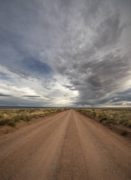 Una tormenta monzónica recorre el paisaje desértico del norte de Arizona
 - Foto, imagen