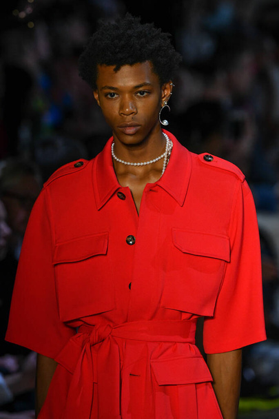 NEW YORK, NEW YORK - SEPTEMBER 08: A model walks the runway for Prabal Gurung during New York Fashion Week: The Shows at Gallery I at Spring Studios on September 08, 2019 in New York City.  - 写真・画像