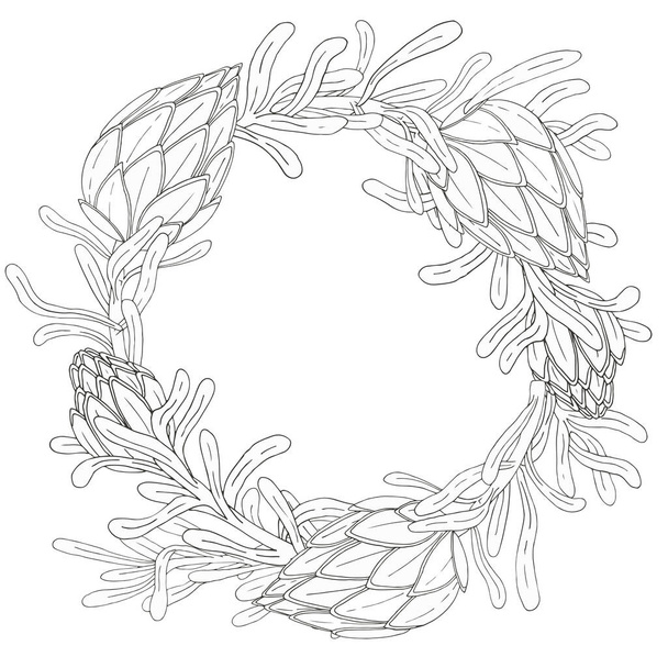 wreath from contour hand drawings of blooming protea branches. African flowers decoration for invitation design - Vektor, Bild