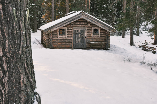 Small wooden cabin with snow on the roof and ground and forest in the background and a pine in the foreground - Foto, Imagem