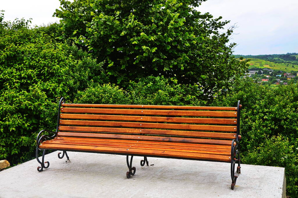Im Sommer eine Holzbank in einem saftig grünen Park - Foto, Bild