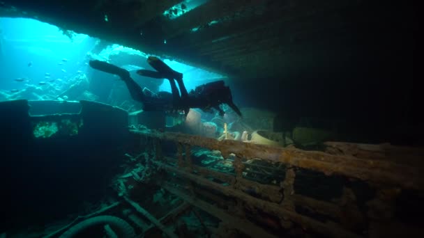 scuba divers swimming inside cargo hold of sunken ship - Footage, Video