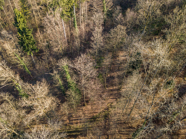Aerial view of rural area with trees - Foto, immagini