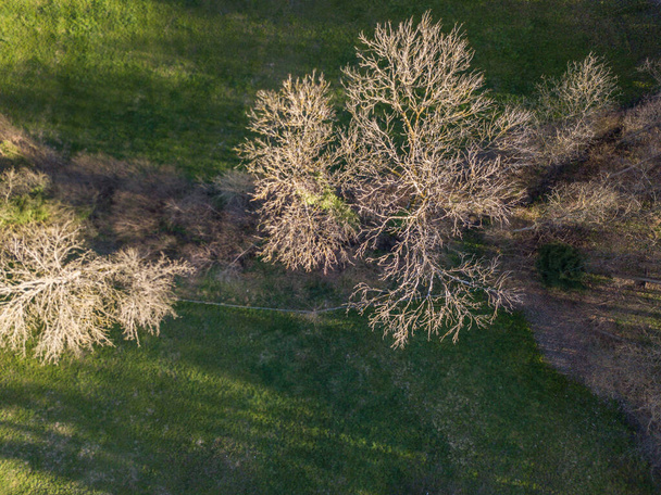 Luftaufnahme des ländlichen Raums mit Bäumen - Foto, Bild