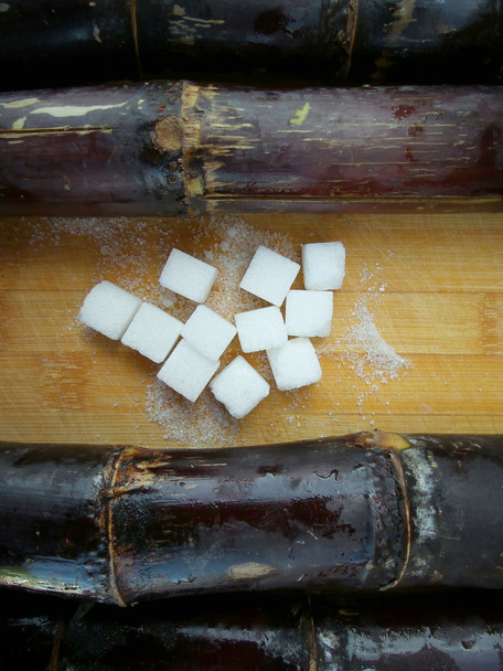 terrones de azúcar y caña de azúcar roja
 - Foto, Imagen
