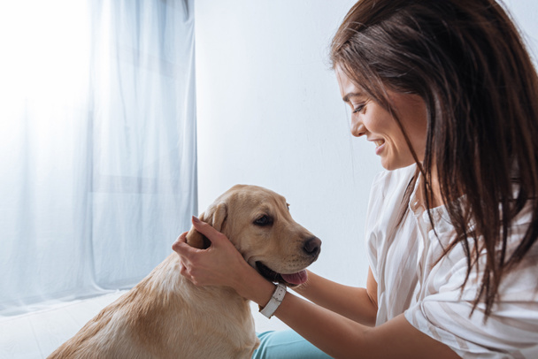 Side view of smiling girl petting golden retriever at home  - Foto, Bild