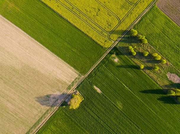 Beaux champs verts de printemps d'en haut. Paysage de drones
 - Photo, image