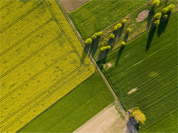 Beautiful green spring fields from above. Drone landscape - Photo, Image
