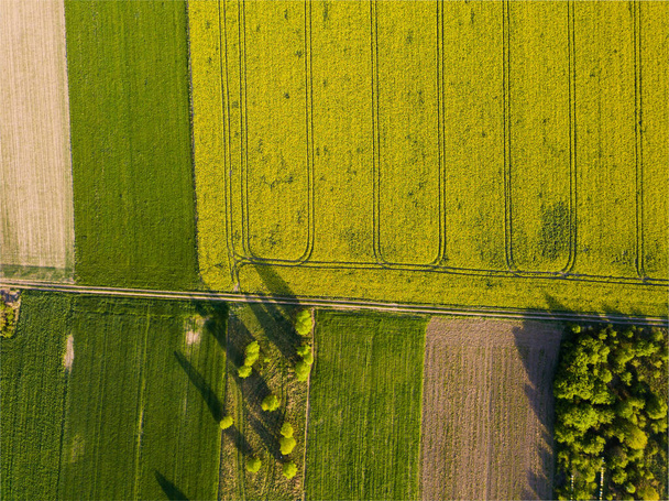 Schöne grüne Frühlingswiesen von oben. Drohnenlandschaft - Foto, Bild