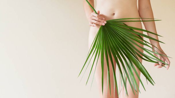 Nude woman with big palm tree leaf stands on beige background. Banner with beautiful body and copy space. - Fotoğraf, Görsel
