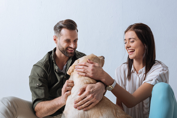 Cheerful couple playing with golden retriever on grey background - Фото, изображение