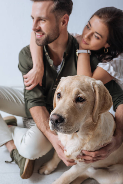 Selective focus of golden retriever sitting near smiling couple isolated on grey - Foto, Bild