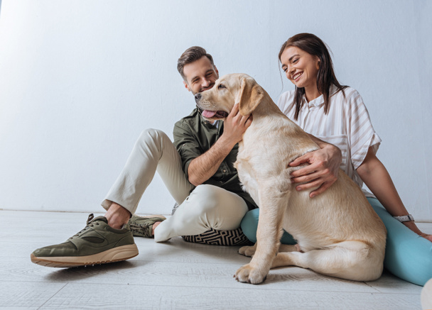 Smiling couple sitting on floor and petting golden retriever on grey background - Foto, Imagem