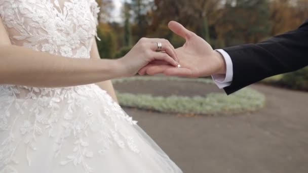 Friss házasok. A vőlegény és a menyasszony keze a parkban. Esküvői pár. Boldog család. - Felvétel, videó