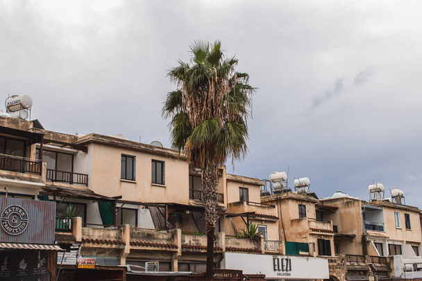 PAPHOS, CYPRUS - MARCH 31, 2020: green palm tree near buildings against sky with clouds  - Fotó, kép