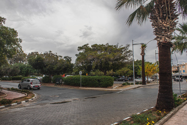 PAPHOS, CYPRUS - MARCH 31, 2020: green bushes and trees on street with cars  - Photo, image