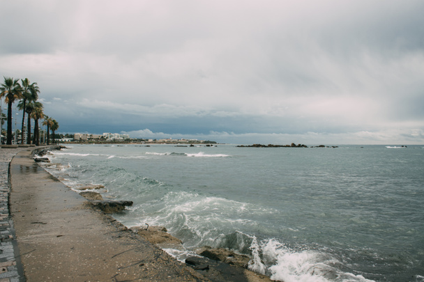 ヤシの木がある海岸近くの地中海の水のスプラッシュ - 写真・画像