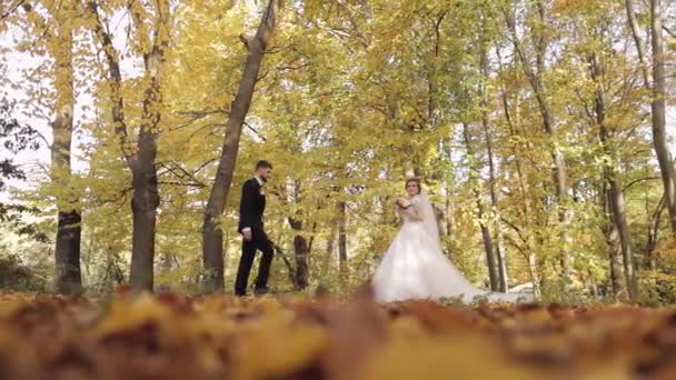 Frisch verheiratet. Kaukasischer Bräutigam mit Braut im Park. Hochzeitspaar. Glückliche Familie - Filmmaterial, Video