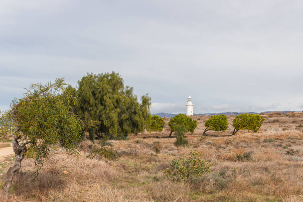 зелені дерева і старий маяк в Пафосі
  - Фото, зображення