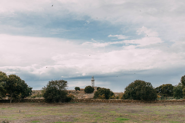 зелені дерева і білий маяк на тлі блакитного неба з хмарами
  - Фото, зображення