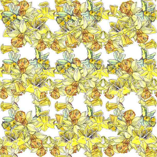 seamless pattern of tender spring flowers of yellow daffodils on a white background - Photo, Image