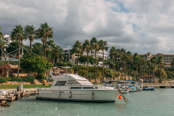 palmy w pobliżu nowoczesnych jachtów na Morzu Śródziemnym - Zdjęcie, obraz