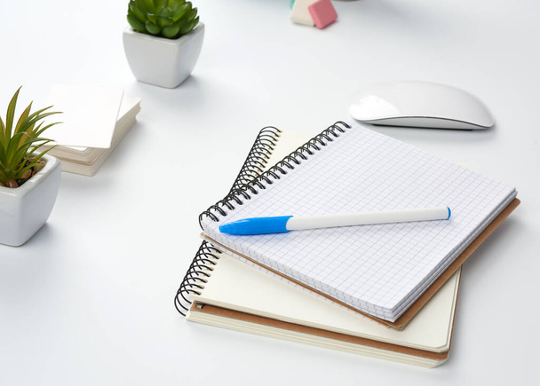 ανοιχτό χαρτί σημειωματάρια και στυλό, ποντίκι υπολογιστή και πράσινα φυτά σε μια γλάστρα σε ένα λευκό τραπέζι, ελεύθερος επαγγελματίας χώρο εργασίας - Φωτογραφία, εικόνα