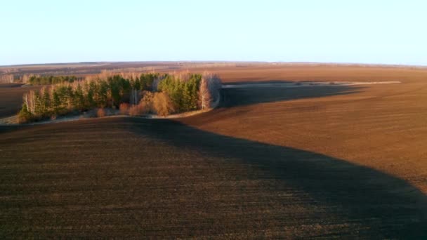 Ранняя весна, полет на квадрокоптере над вспаханными сельскохозяйственными полями и редкими деревьями в лучах заходящего оранжевого солнца
 - Кадры, видео