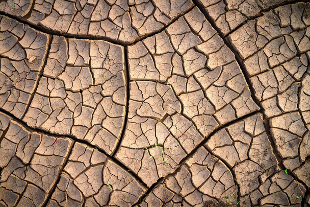Dried cracked earth soil ground texture background. Mosaic pattern - Photo, Image