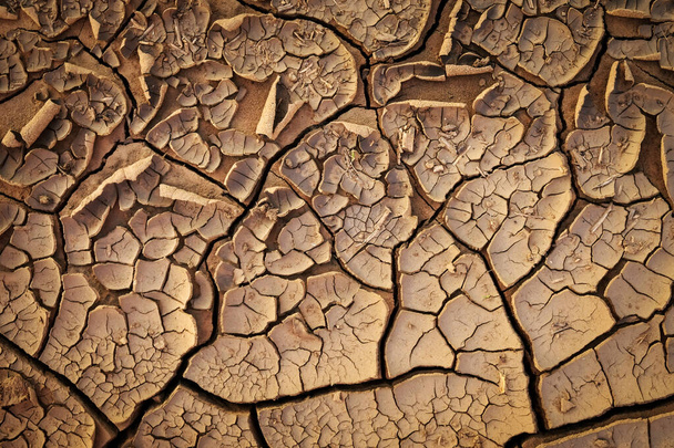 Getrocknete rissige Erde Bodenbeschaffenheit Hintergrund. Mosaik aus sonnigem, ausgetrocknetem Boden - Foto, Bild