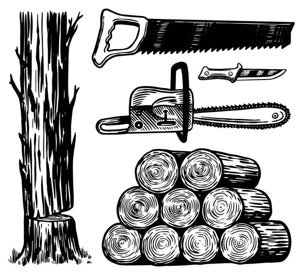 Verdoken stammen, zagen of kettingzagen, Werktuigen. Handgetekende elementen voor Lumberjack Woodsman. Vector illustratie. Gegraveerde Monochrome Vintage Schets. - Vector, afbeelding