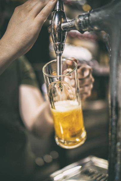 barman serving cold beer from a tap - Foto, imagen