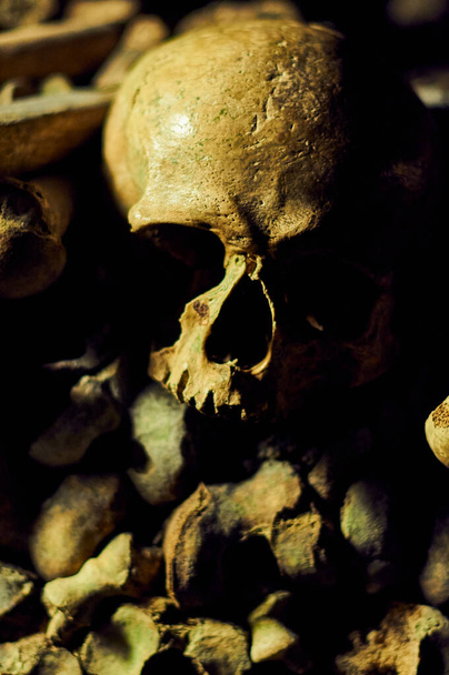 Справжній череп у склепі
 - Фото, зображення