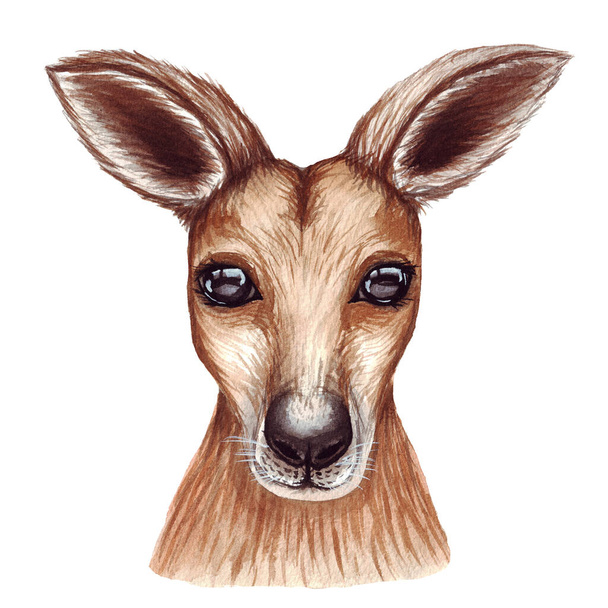 Linda ilustração aquarela bonito do rosto canguru. Chuveiro de bebê, decoração de berçário isolado em branco
. - Foto, Imagem