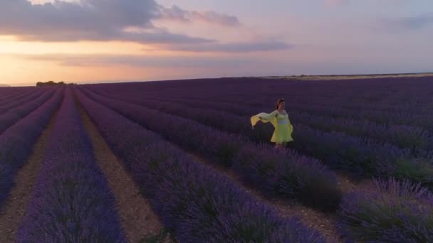 LENS FLARE: Lentäminen yläpuolella nuori nainen, kun hän kävelee yli kentän laventeli
. - Materiaali, video
