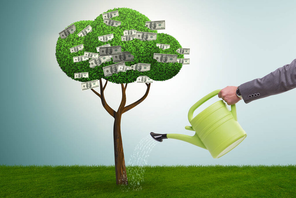 Empresario regando árbol de dinero en concepto de inversión - Foto, Imagen