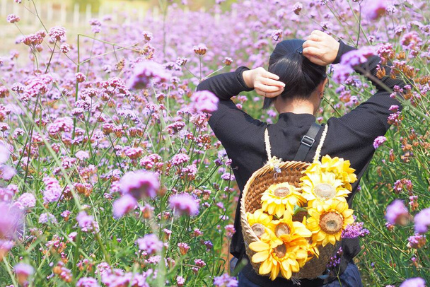 女性の背部はバスケットを持っていて、タイのモン・ジャムにあるベルベナの花の庭にひまわりがあります。コピースペースで. - 写真・画像