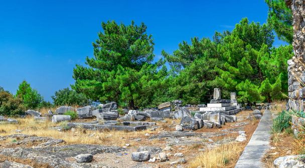 晴れた夏の日にトルコの古代ギリシャの都市の遺跡 - 写真・画像