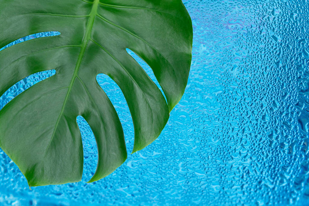  Tropisches Monstera-Blatt vor dem Hintergrund eines Stapels von Wassertropfen.. - Foto, Bild