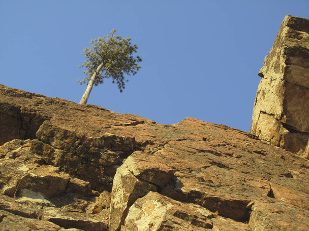 Paisaje de montaña. El pico. Roca sobre un fondo de cielo azul. Un árbol en la cima de un acantilado. Bajo ángulo. Reserva Natural Nacional "Stolby". Krasnoyarsk Rusia. Naturaleza siberiana
. - Foto, Imagen