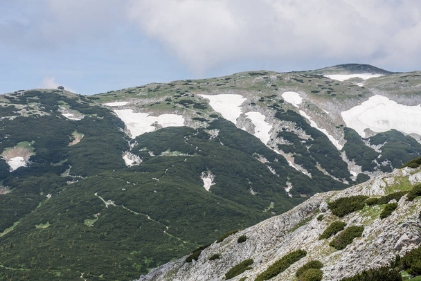 Landscape in the mountains with snow rocks and plants while hiking - Photo, Image