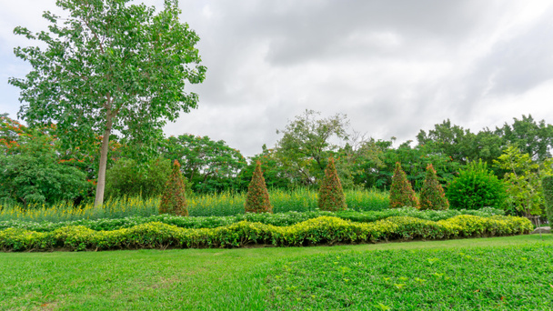 Jardim de vegetação com forma geométrica de arbusto e arbusto, decoração floração planta florescendo no gramado de grama verde, árvores no fundo sob nuvens céu azul, em um bom cuidado paisagens do parque público
 - Foto, Imagem