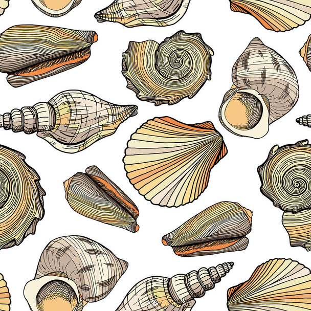 Seamless vector pattern with seashells. Marine underwater background. Hand drawn colorful nautical shells isolated on white. Design for package, wallpaper, textile, fabrics, greeting cards, banners - Vector, Image