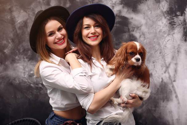 Fashion girls standing on a gray background with dog - Φωτογραφία, εικόνα