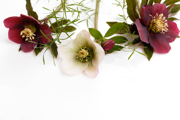 Festive flower composition on the white wooden background. Overhead view - Fotografie, Obrázek