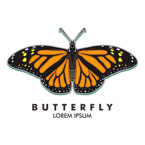 Schmetterling Symbol Tier Vektor Illustration - Vektor, Bild