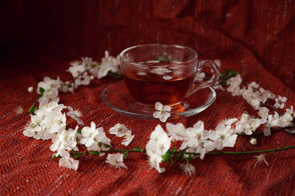テーブルの上にお茶と桜の枝のカップ。美しい花と春の自然背景。赤い居心地の良い背景に桜のお茶と花。トップビュー、バナー。春のコンセプト - 写真・画像